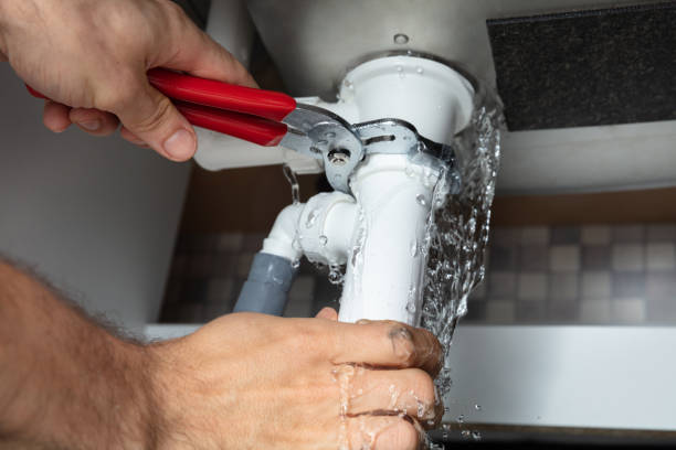 Best Sewage cleanup and water damage restoration  in Estherville, IA