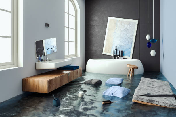 Best Carpet water damage restoration  in Estherville, IA