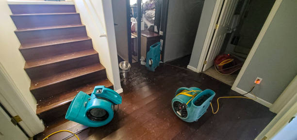 Best Residential water damage restoration  in Estherville, IA