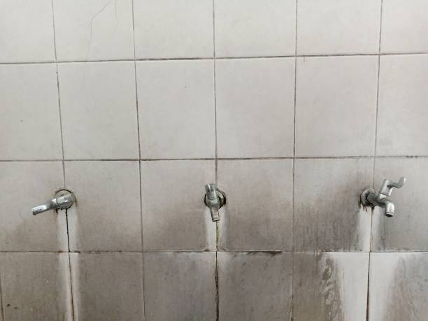 Trusted Estherville, IA Water damage restoration Experts